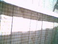 Neighbor #1