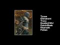 lineage 2 queen ant raid