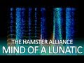 Mind of a Lunatic - spectrograph test video