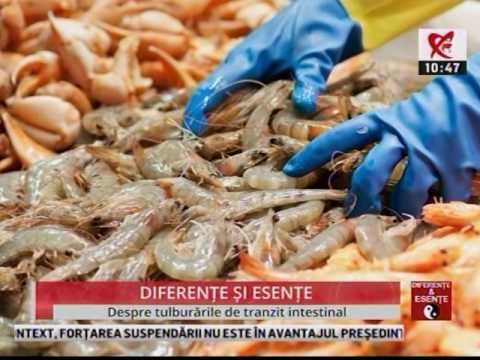 Despre tulburarile de tranzit intestinal Despre tulburarile de tranzit intestinal