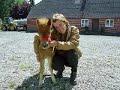 Horse Film med Cheval
