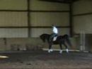 Carbon Copy - Canter