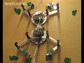 Climbing robot throws its weight around Climbing robot throws its weight around