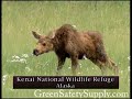 Horicon Wisconsin U.S. Wildlife Refuge 2005 part 2 of 2 Horicon Wisconsin U.S. Wildlife Refuge 2005 part 2 of 2