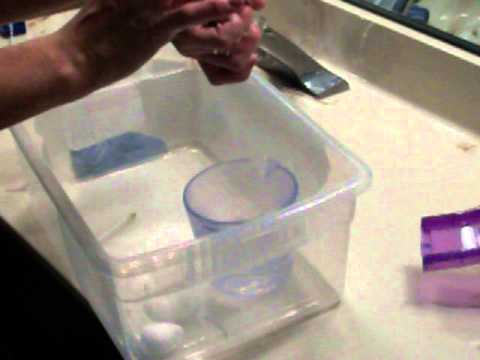 how to vent chickens