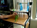 Trick trained parrot goes through a hoop