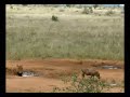 First leg of our Tsavo safari