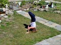 Transitioning into Urdhva Padmasana.