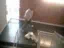 Bill\