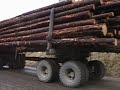 LOGGING TRUCK\
