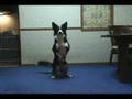 YouTube - squat&iuml;&frac14;ˆ&atilde;ƒ’&atilde;ƒ&sup3;&atilde;‚&ordm;&atilde;ƒ&frac14;&atilde;‚&sup1;&atilde;‚&macr;&atilde;ƒ&macr;&atilde;ƒƒ&atilde;ƒˆ&atilde;‚’&atilde;™&atilde;‚‹&ccedil;Š&not;&iuml;&frac14;‰