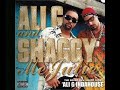 Shaggy &amp; Ali.G - Me Julie