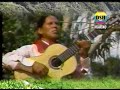SOY INDIECITO : JILGUERO DEL HUASCARÁN