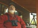 Bird Watching: Bird I Would Like To Be Video Bird Watching: Bird I Would Like To Be Video