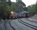 A Pacific National freight train in the Adelaide Hills