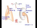 Metaboic Acidosis compensated