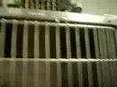 Humane Society of West Louisiana [We All Need A Home]
