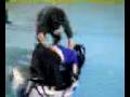 2009-01-28 | Hockey fight after roller hockey, all in good fun ~> A fight after a roller hockey game betwen a goalie and player, wasn't serioius ... (2:24)