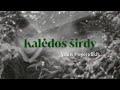 Vilius (Kelias į žvaigždes 2) - Kalėdos