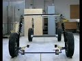 Zastava Florida In - Surprising agility