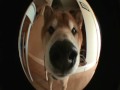 New fisheye!!