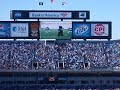 Sir Purr and the Carolina Panthers doing the Cupid Shuffle!!