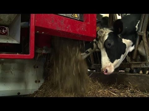 how to treat high k
