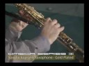 CE Winds Omega Series I Saxello Saxophone - Gold Plate