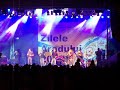 zilele-aradului-2008