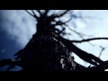 Ya-Ha! Frei Video and Lyrics