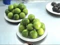 Joyas de la Cocina Peruana (I) / Instituto de los Andes Joyas de la Cocina Peruana (I) / Instituto de los Andes