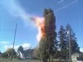 YouTube - Tree Electrocutes Itself