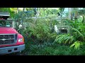 Preparation for New Metal Roof 1- Coconut Grove, FL - Istueta Roofing