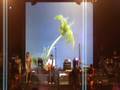 videos de Glenn Fredly (Intimate Concert with Glenn Fredly in Jogjakarta)
