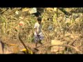 Philippines to investigate flood disaster