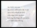 Bruno K. �ijer live p� Stockholms stadion, 6 juni 2003