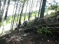 Tiag dans la Renversée