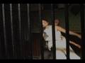 videos de BIRD'S EYE VIEW Trailer (Nuit Blanche 2007)