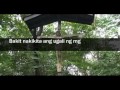 Damong Ligaw (Part 1/2)