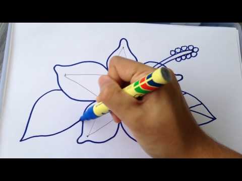 Must watch how to draw hibiscus flower
