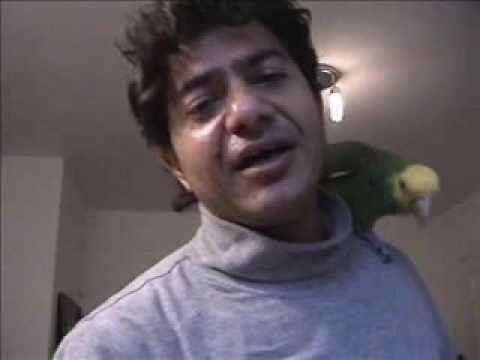 Persian Music Papagei Coco und Mohsen  DUR AS TO
