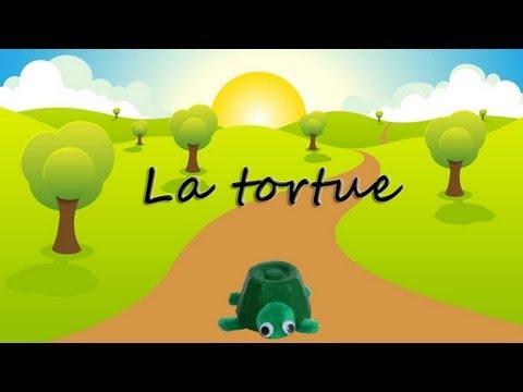 Bricolage de tortue pour enfant