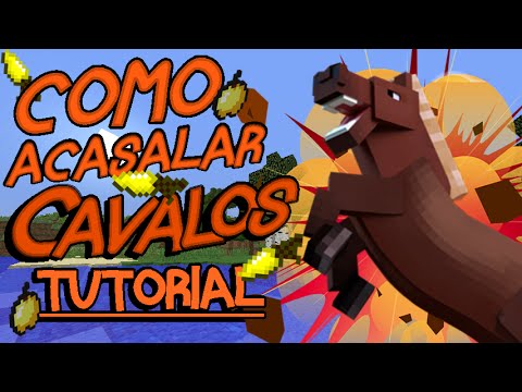 cavalos - Like e Favorito se gostaram do Video de hoje :) *Cavalos+Cavalos=Cavalo *Burros+Burros=Burro *Cavalos+Burros=Mulas??? Obrigado e ate o proximo video!! :P.
