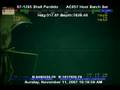Giant Long Arm Squid Live