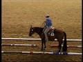 European Quarter Horse Championships 2006 Manele-Gratis.net