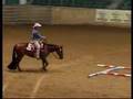 European Quarter Horse Championships 2006