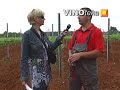 cijeli prilog na www.smarttv.com.hr -- Bruno Trapan, mladi istarski vinar, enolog i sommelier, s vrlo interesantnom pričom o svojim vinima