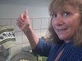 Ann Wigmore's Energy Soup, Episode #195
