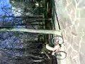 virguerias bici 14 virguerias bici 14