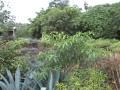 Horto - CEPAM.wmv
